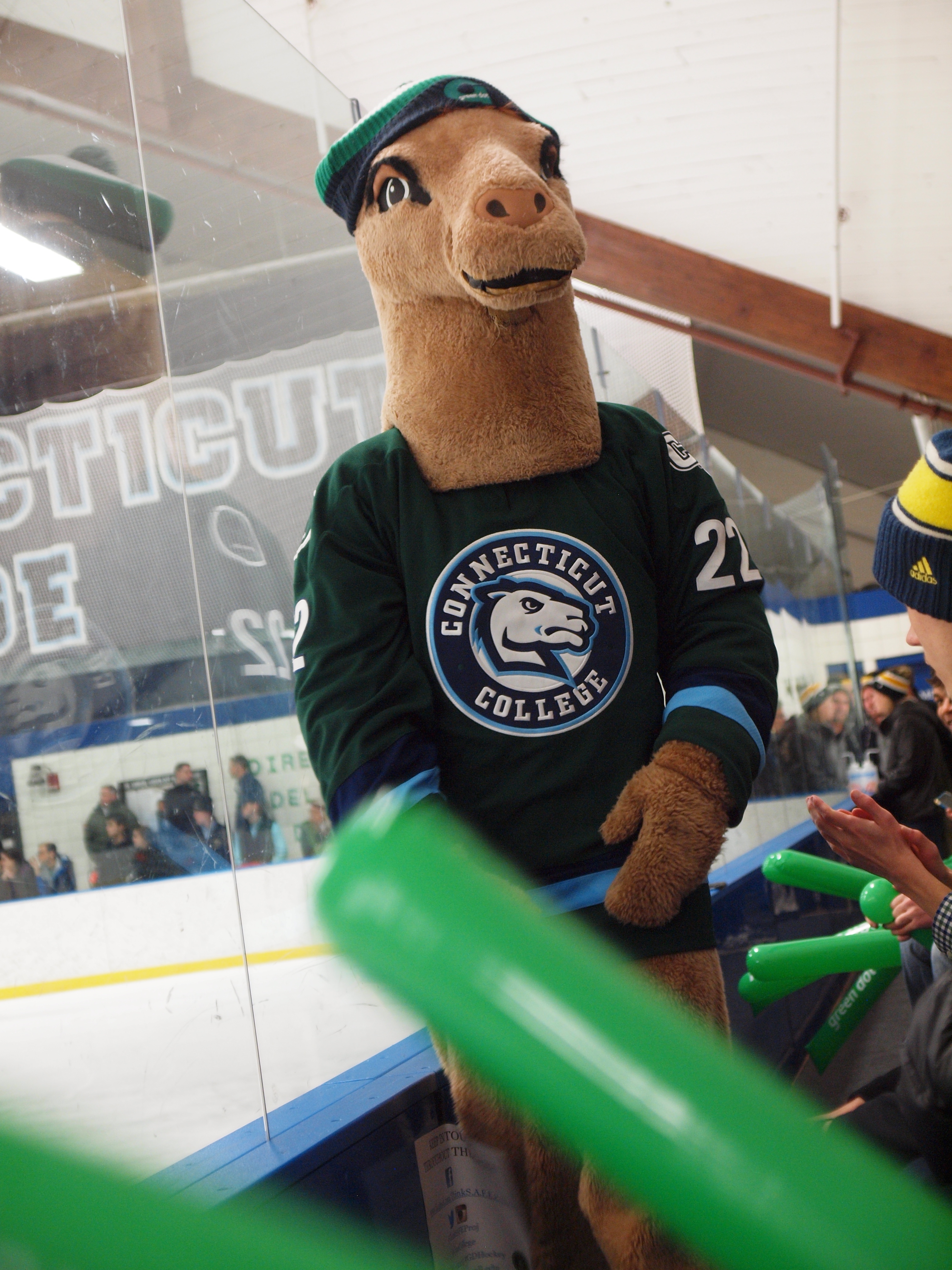 Conncoll's camel mascot wears a green jersey to raise awareness about sexual violence 