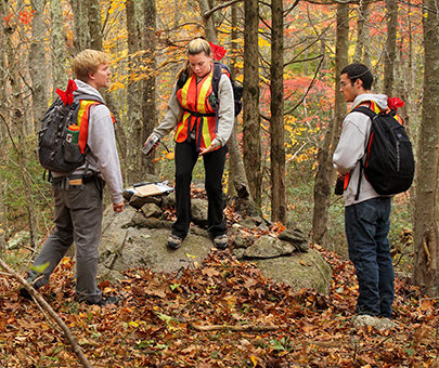Anthropology students conduct fieldwork in the woods of the Arboretum. 