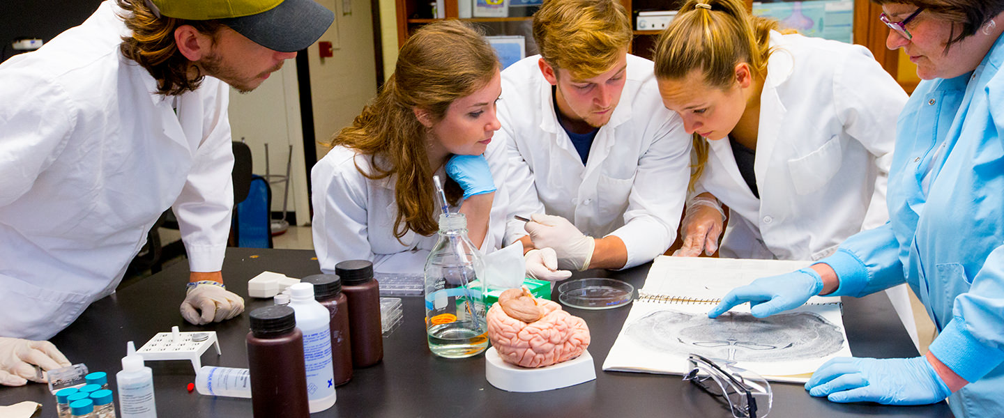 Behavioral Neuroscience, major or minor at Connecticut College
