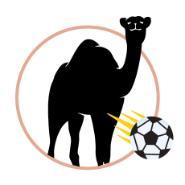 Camel with soccer ball