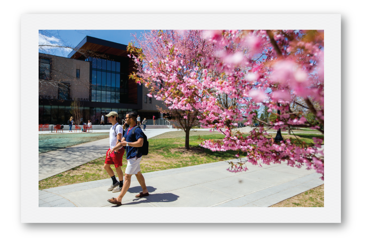 Students passing the library and cherry blossoms