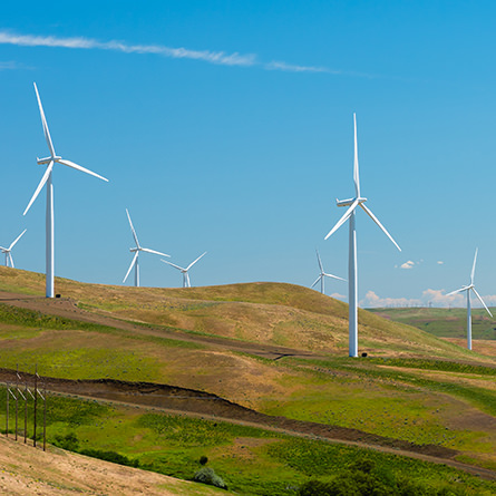 Wind turbines on a hilly landscape. 