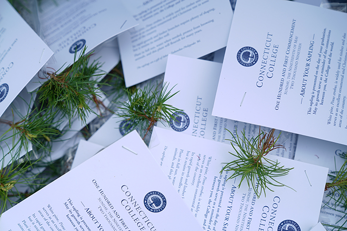 Saplings are prepared to give to each graduate.