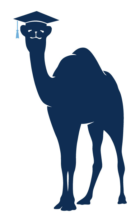 Vintage Camel with a graduation cap
